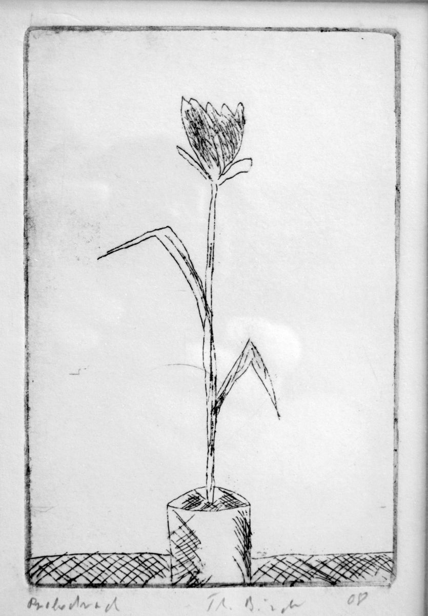 Thomas Bindl, Blume 1 2008, 15 x 10 cm, Radierung